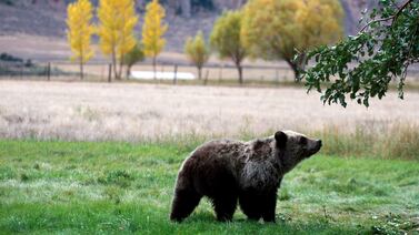 Trump triplica tarifas de ingreso a parques nacionales para extranjeros