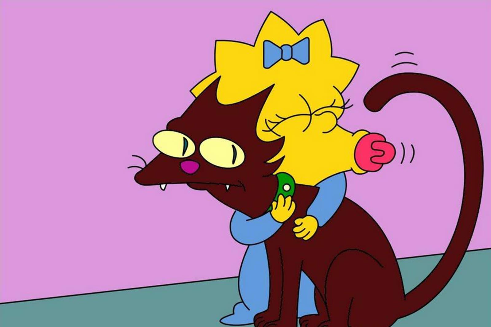 nota de gatos