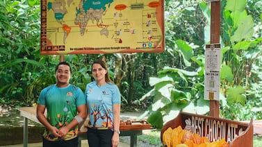 ¿Sabe elegir un buen chocolate? Experto le da algunos consejos
