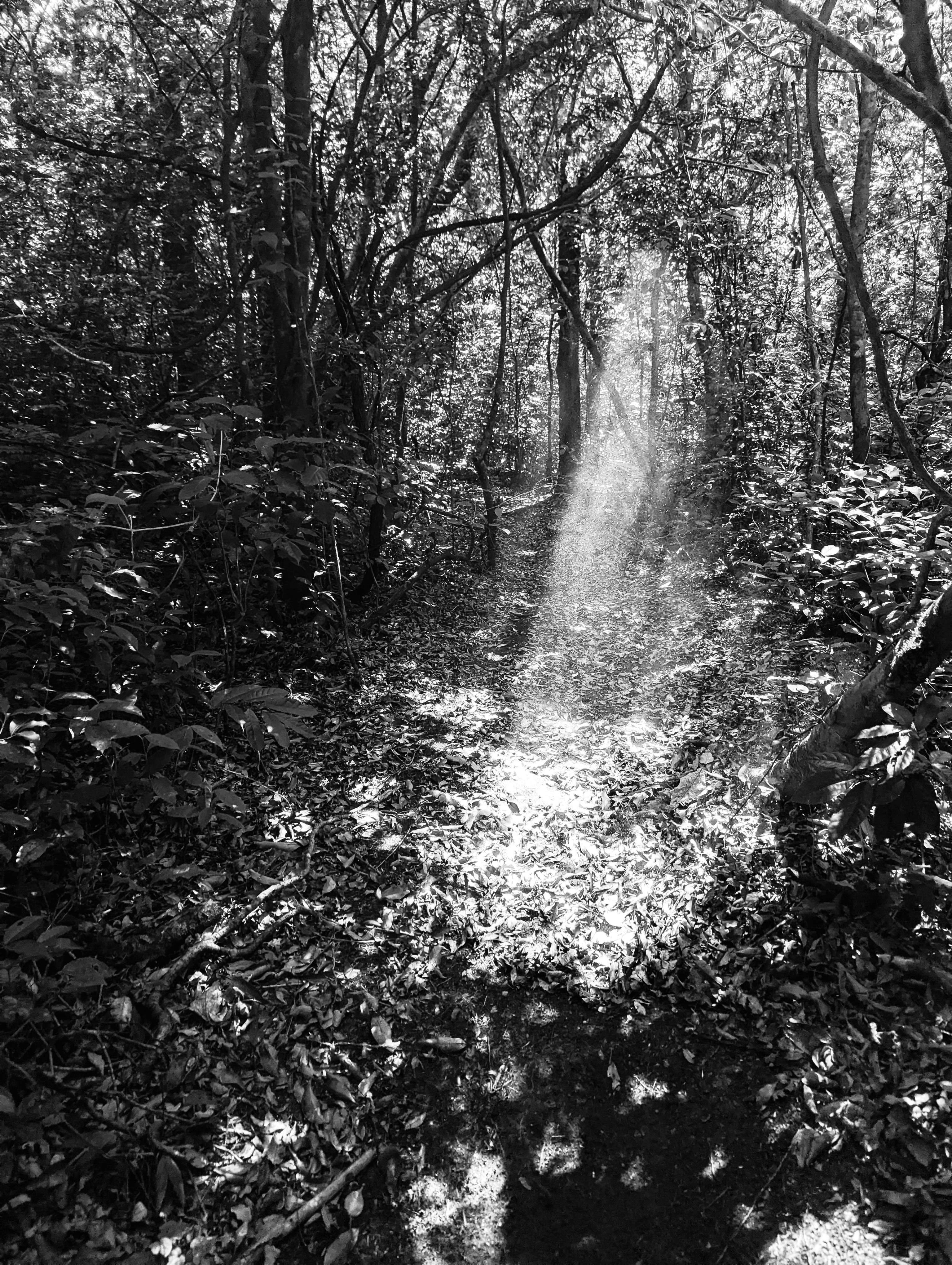 Fotografías creadas por los participantes del Reto fotográfico "Luz y Sombra" en marzo del 2025.