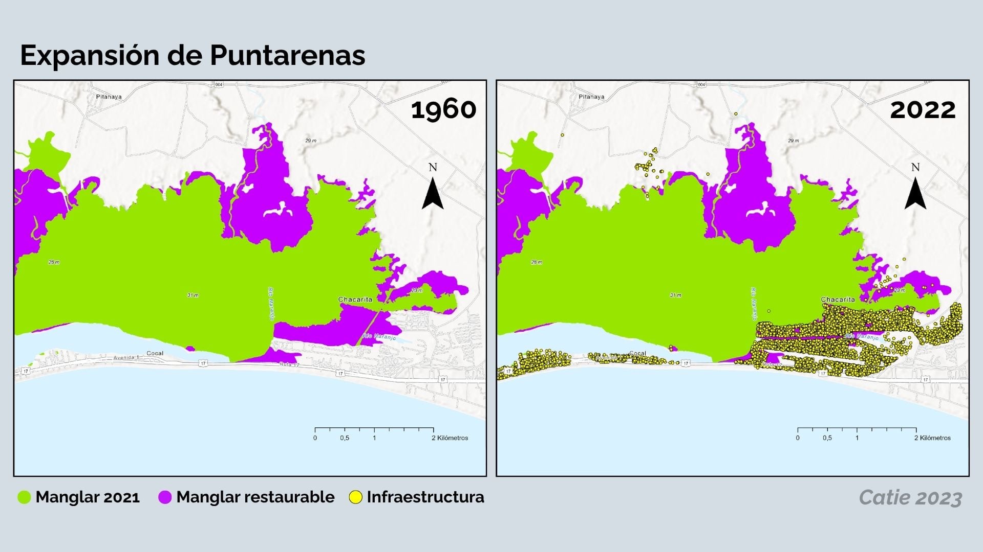 Manglares en Puntarenas