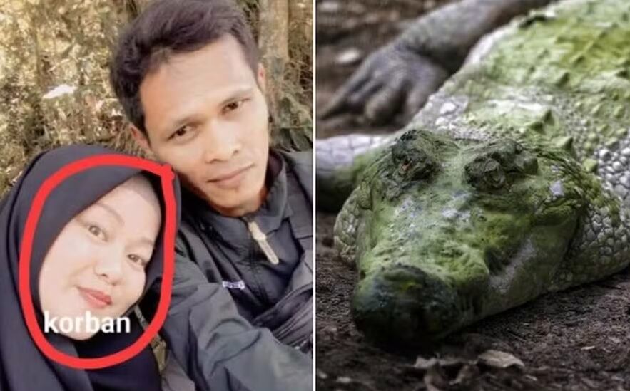 Un cocodrilo mató a una embarazada de 8 meses en Indonesia. Estaba cocinando cuando el reptil la atacó y arrastró fuera de casa.