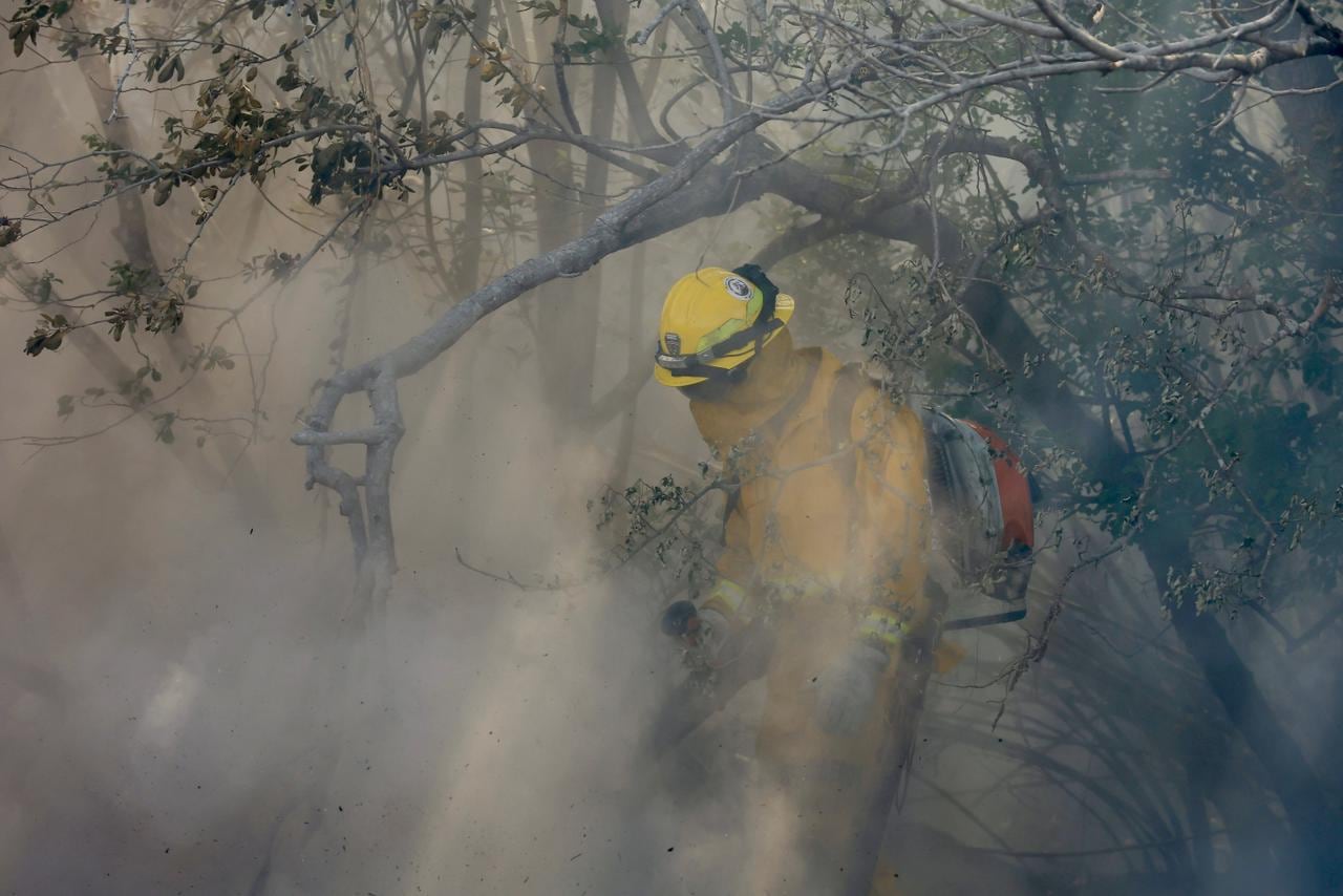 Incendio forestal en el Parque Nacional Palo Verde