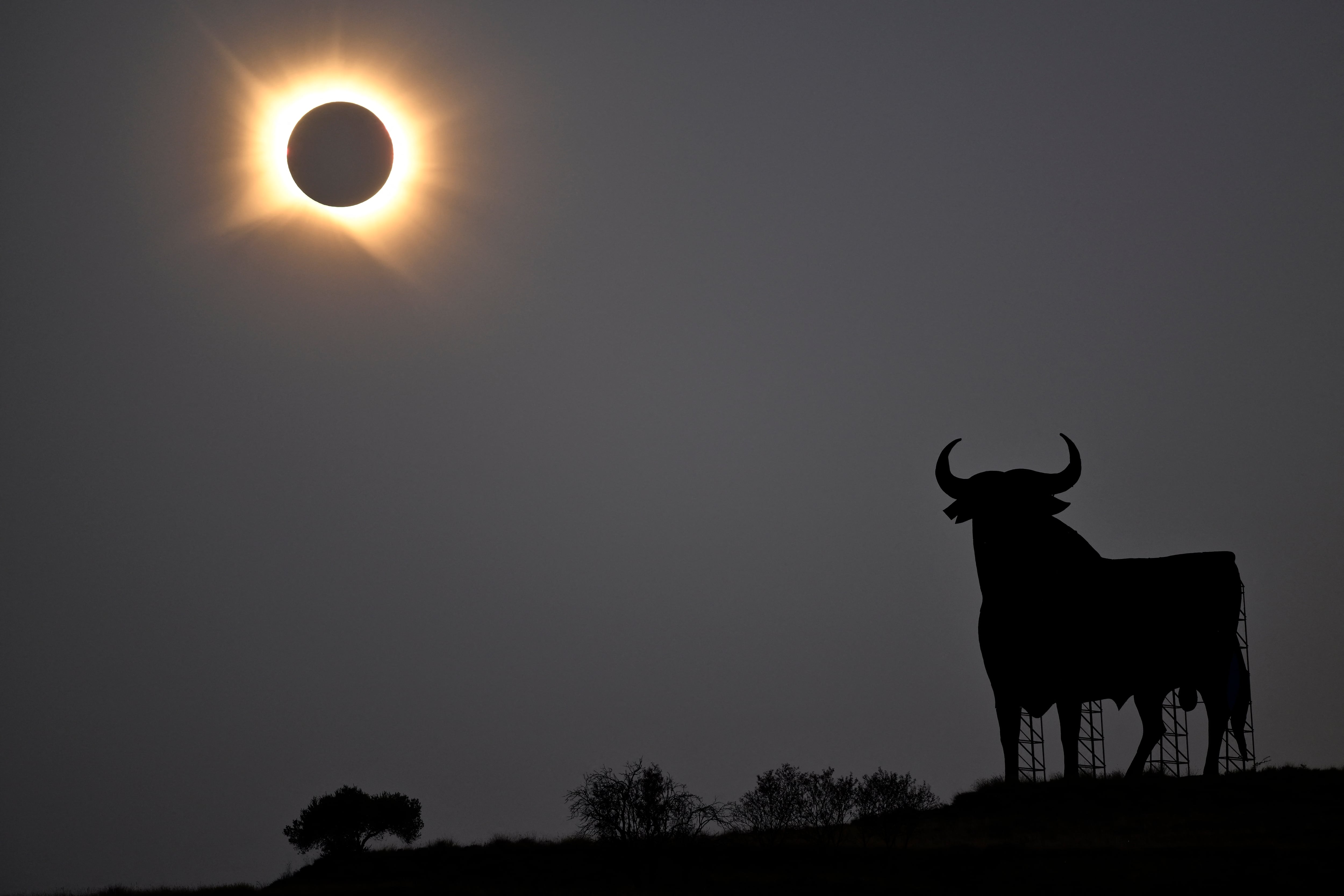 La corona solar brilla mientras la Luna bloquea por completo al Sol durante la fase de totalidad del eclipse solar total, tal como se observó desde San Asensio, en la región de La Rioja, el 12 de agosto de 2026. Millones de europeos contemplaron hoy el cielo con asombro durante un raro eclipse solar total que sumirá a una franja de España en una inquietante oscuridad diurna. La sombra proyectada cuando la Luna cubre al Sol comenzó en el remoto norte ártico de Rusia alrededor de las 17:00 GMT y continuó en un arco a través de Groenlandia e Islandia. España fue el lugar donde la mayoría de la gente observó el eclipse total, que atravesó el país en diagonal desde la costa atlántica del norte hasta el mar Mediterráneo, donde desapareció alrededor de las 18:30 GMT. (Foto de Ander Gillenea / AFP)