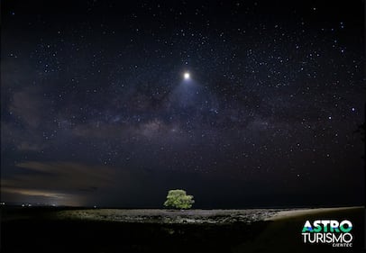 Categoría Panorama Nocturno: Árbol de vida con brillo en la playa con la Vía Láctea en Cóbano (Puntarenas). Cámara Canon R6 mark II, ISO 3200, f 2,8, 13 segundos de exposición. Tomada 3/22/2026.