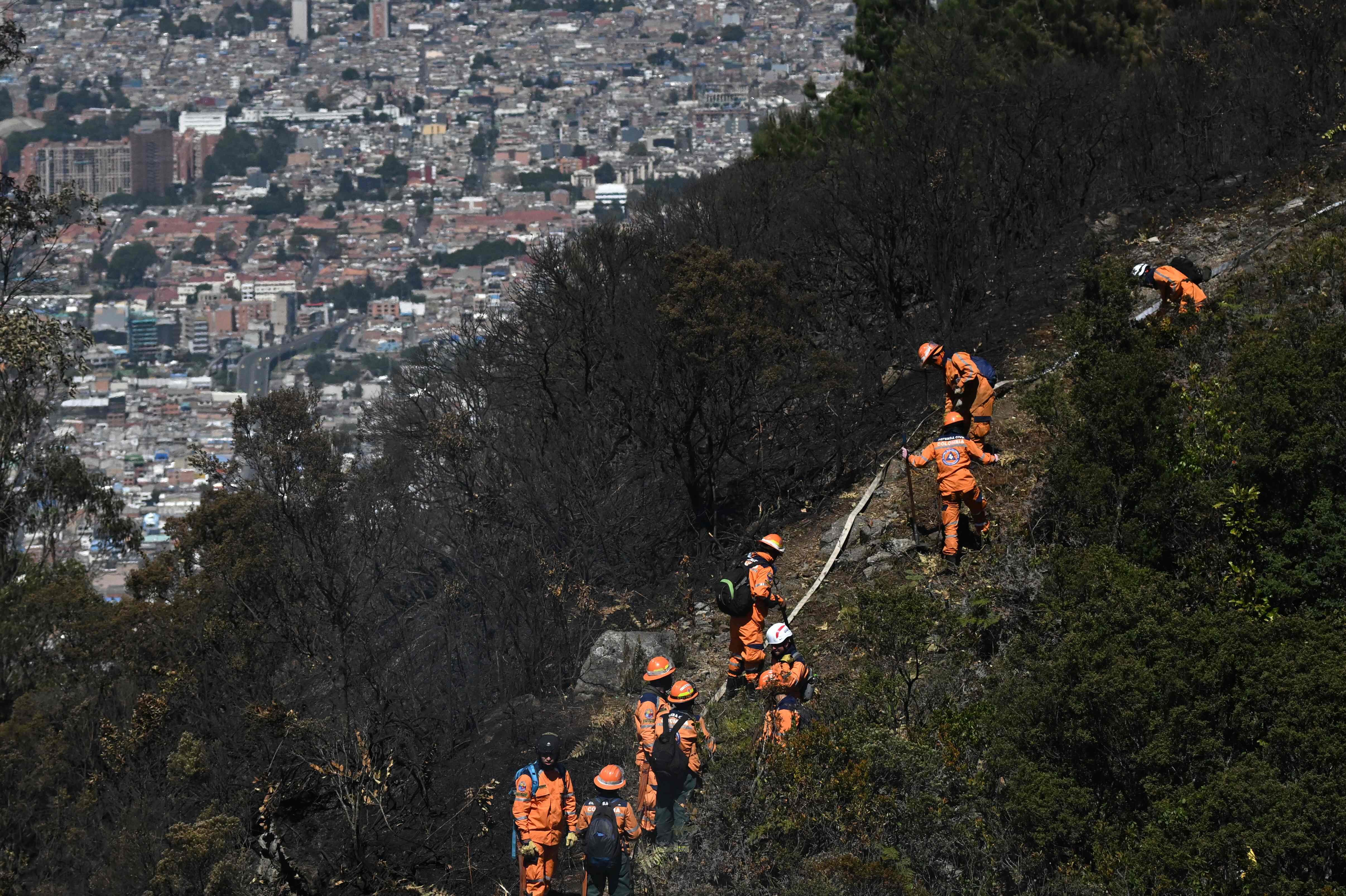 Miembros de la Defensa Civil colombiana apagaron un incendio forestal en Bogotá, Colombia. Al menos cuatro incendios forestales activos azotaron este martes varias regiones de Colombia y la capital Bogotá, en medio de una ola de conflagraciones por las altas temperaturas derivadas del fenómeno de El Niño, informaron las autoridades. (Foto de Raúl ARBOLEDA / AFP)