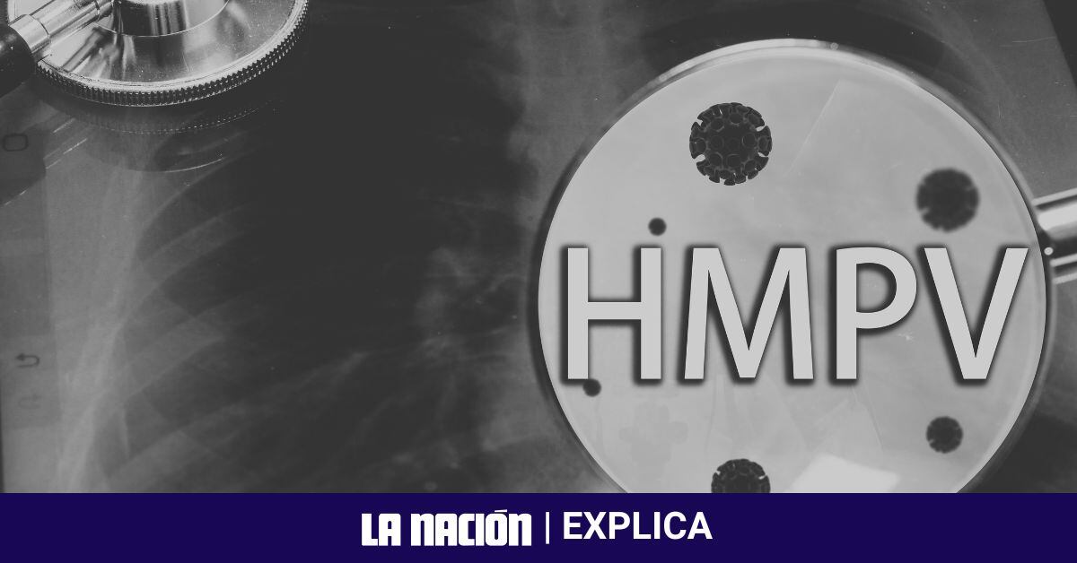 Una imagen blanco y negro con un estetoscopio y las siglas HMPV.