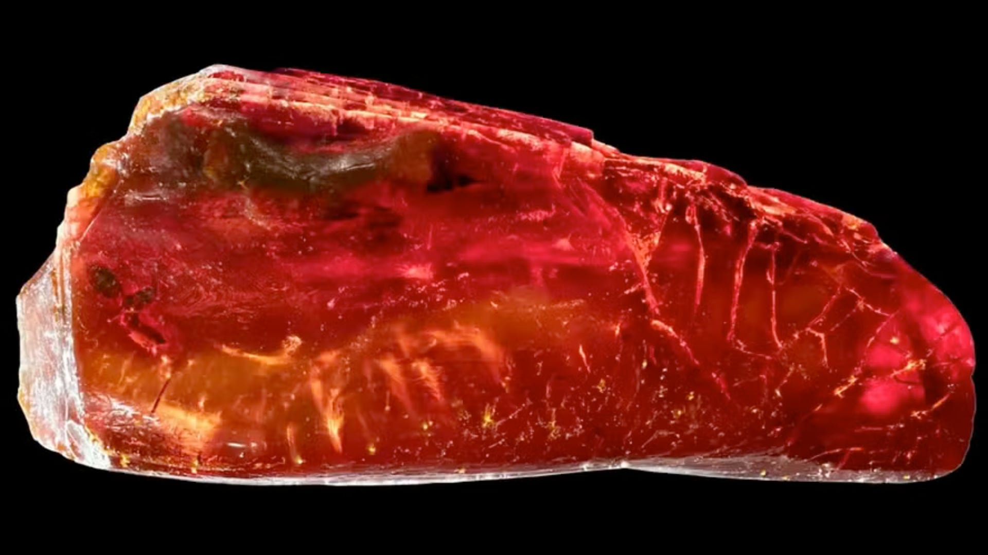 Un fragmento de ámbar del mar Báltico conservó la hormiga fósil mejor preservada conocida y amplió el conocimiento sobre insectos prehistóricos.