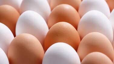 Cuál es la diferencia entre los huevos de cáscara blanca y los marrones, según expertos