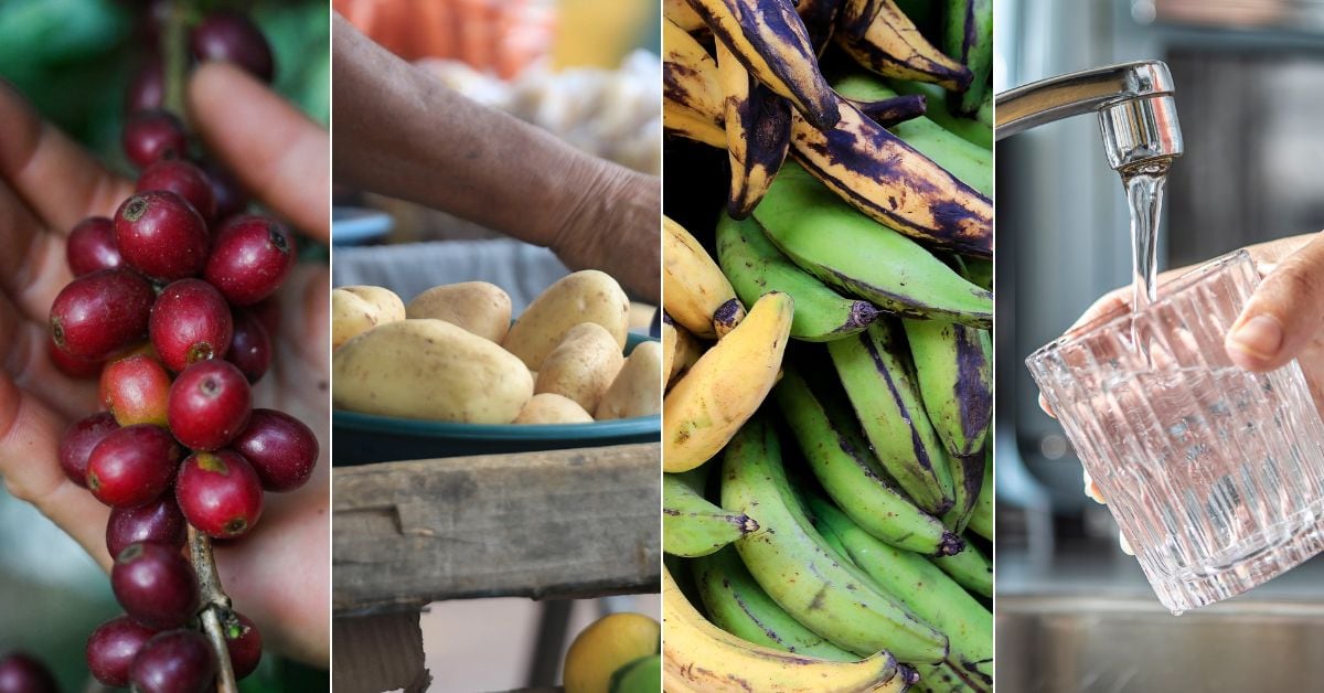 En la imagen, café, papa, plátanos y agua
Todos bienes que subieron o bajaron de precio entre noviembre del 2024 y noviembre del 2025