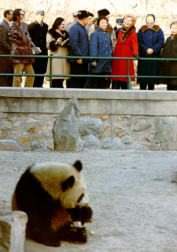 La primera dama de Estados Unidos, Pat Nixon, observa la exhibición de pandas del Zoológico de Beijing en febrero de 1972.