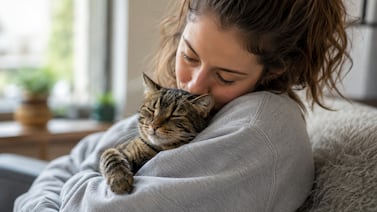 Cómo eligen los gatos a su humano favorito y qué señales revelan su verdadera conexión