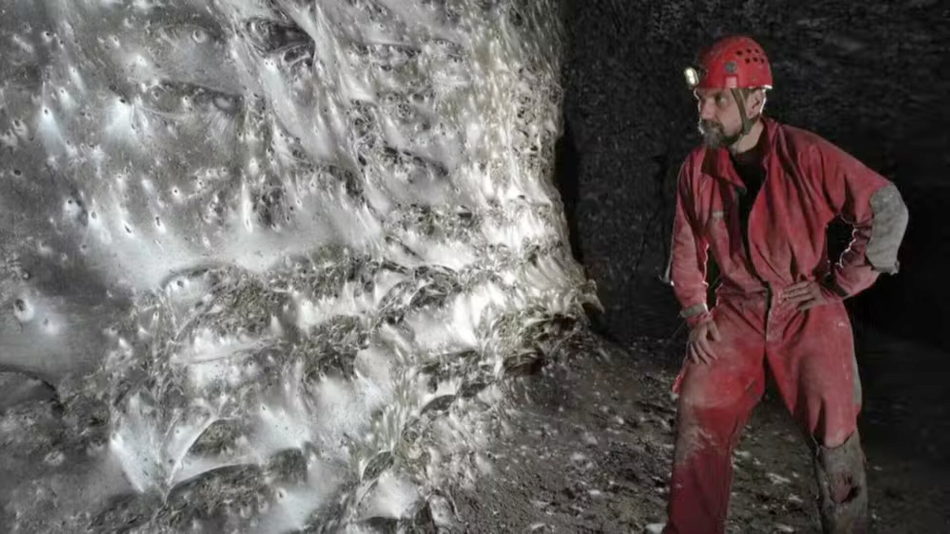 Una megacolonia de arañas fue hallada en una caverna de 106 m² en Europa. El descubrimiento ofrece pistas sobre la adaptación en ambientes hostiles.