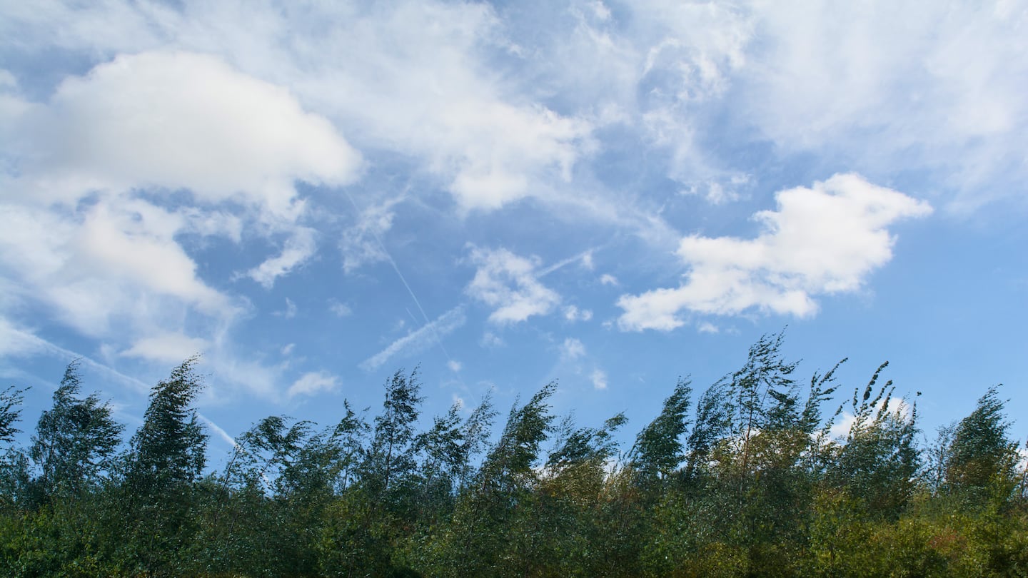 Vientos y calor intenso marcarán el clima este martes en Costa Rica: consulte el pronóstico