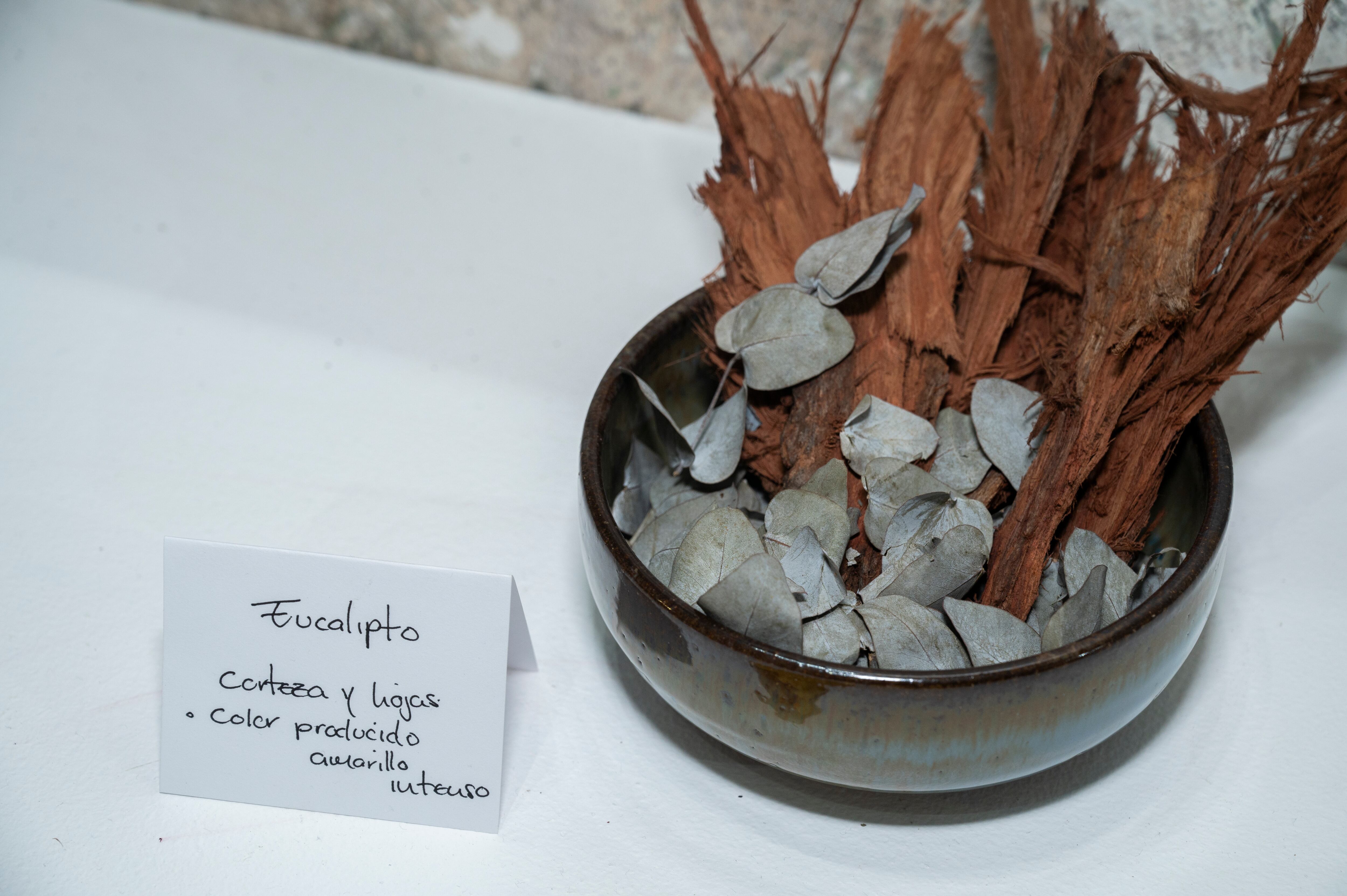 'Más allá del Índigo' estará abierta al público hasta noviembre.