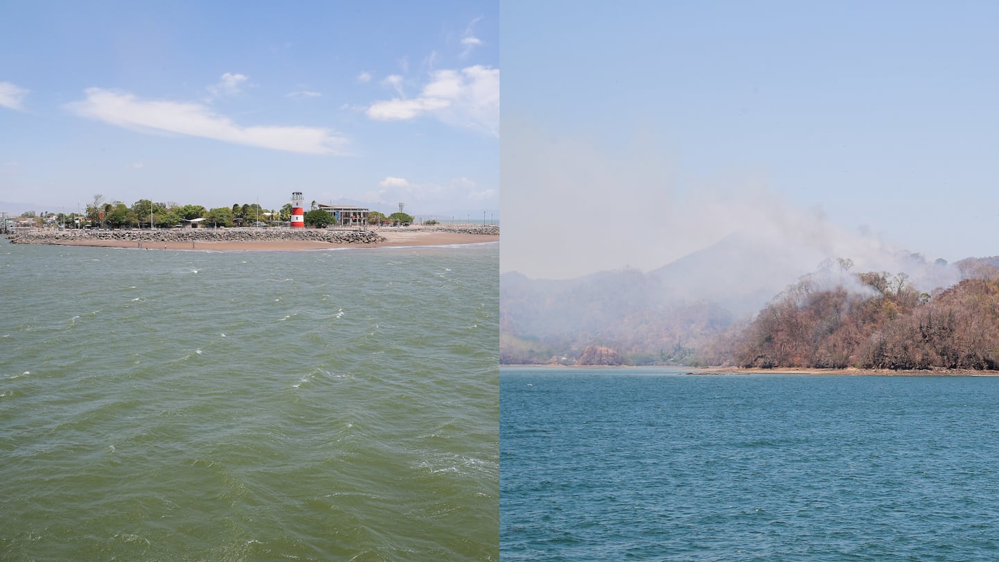 ¿Sabe qué ocultan los océanos de Costa Rica? Nueva plataforma le permite explorar las profundidades