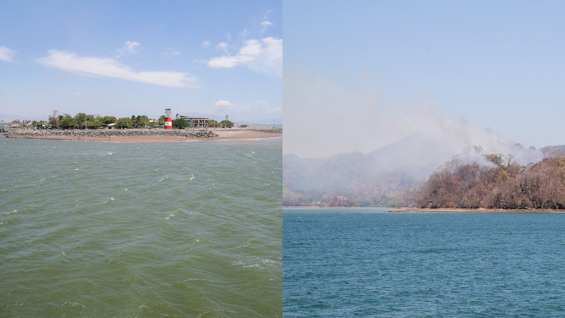 ¿Sabe qué ocultan los océanos de Costa Rica? Nueva plataforma le permite explorar las profundidades