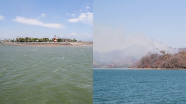 ¿Sabe qué ocultan los océanos de Costa Rica? Nueva plataforma le permite explorar las profundidades