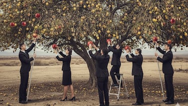 Visión agrícola del gobierno