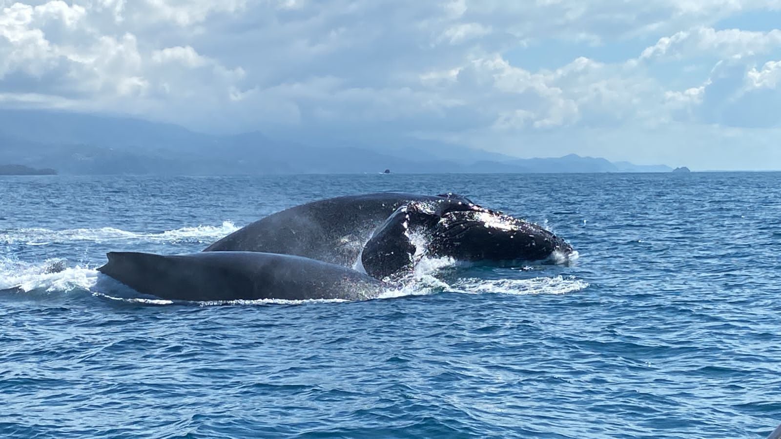 (Foto: Bahía Ballena tour)