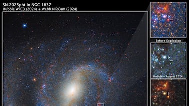 Telescopio James Webb logra algo inédito: identifica la estrella que explotó hace 40 millones de años