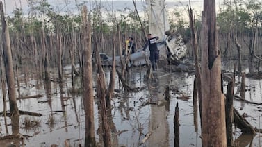 Policía decomisa importante cargamento de droga en avioneta accidentada en Puerto Jiménez