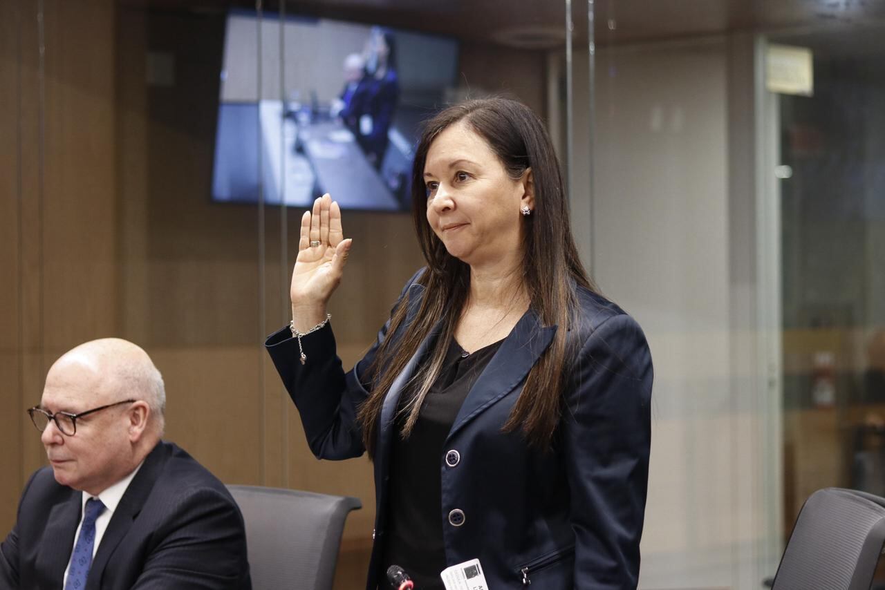 Yanancy Noguera, presidenta del Colper, en Comisión Investigadora del Sinart.