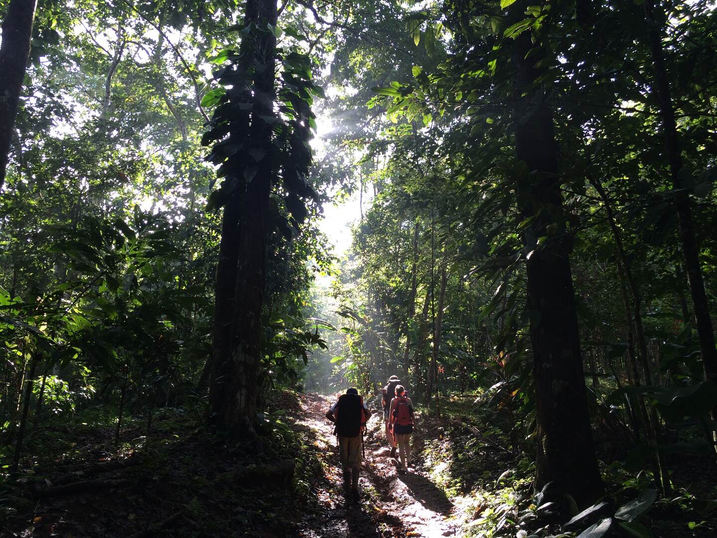 Los tres senderos, Camino de Oro, Camino de Selva y Camino de Agua, acercan a los turistas a la cultura local.