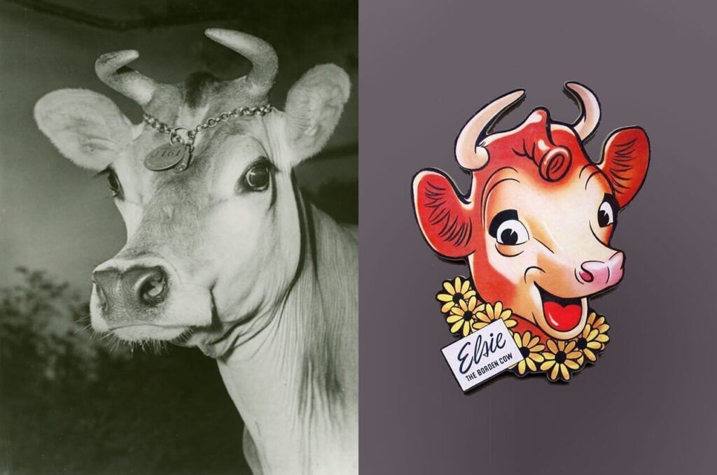 Imagen comparativa de la vaca Elsie, personaje icónico de la marca Borden, en una fotografía histórica y en una ilustración moderna usada en la identidad de la empresa láctea.
