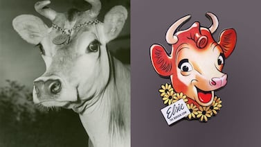 Elsie, la vaca que hizo famosa a Borden y acompaña su regreso a Costa Rica