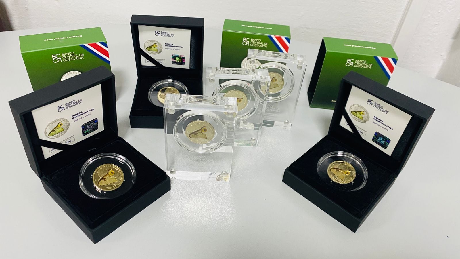 El Banco Nacional efectuará la venta en línea de la moneda coleccionable de ¢50 con el diseño que destaca la lagartija o anolis.