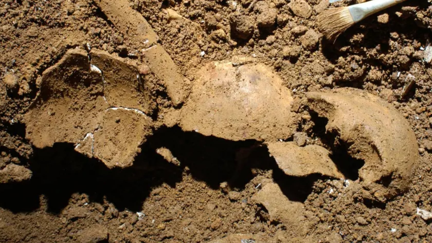 Investigadores italianos hallaron en una cueva de Calabria evidencia genética del incesto más antiguo documentado entre padre e hija.