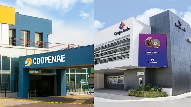 Coopenae y CoopeAnde aprueban fusión para operar como una sola cooperativa: esto deberá pasar ahora