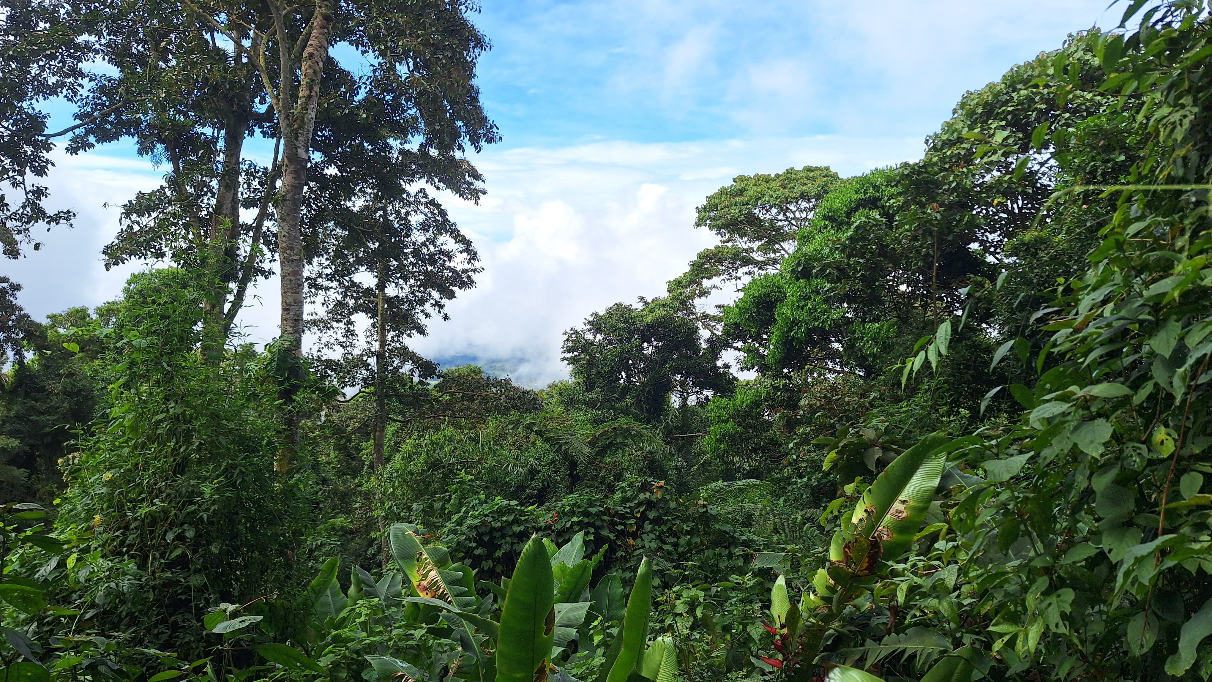 Panorámica del PILA.