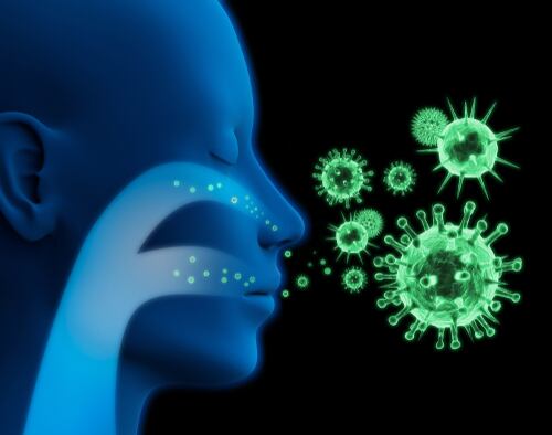 Temperaturas más altas se asocian con mayores tasas de crecimiento bacterial e infección, y también pueden generar presión evolutiva sobre los microbios, llevándolos a mutar y desarrollar resistencia a los antibióticos.
