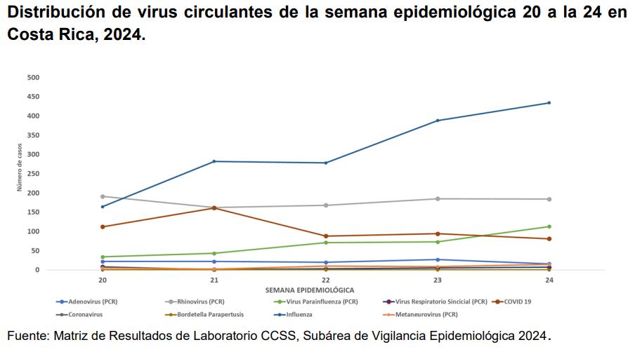Esta es la circulación de los virus en las últimas semanas de 2024.
Gráfico: Ministerio de Salud