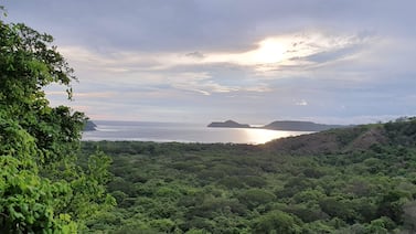 Magistrado de Sala Constitucional impide tala en playa Panamá y declara moratoria de corta de árboles en polo turístico Papagayo