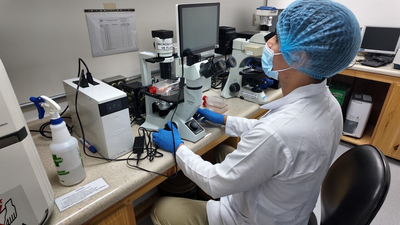 En Barranca de Naranjo, un pueblito escondido en la parte alta de la zona rural alajuelense, donde se respira olor a zacate fresco y la noche se ilumina con estrellas, nació y creció Samuel Villalobos Vargas quien estudia Ingeniería en Biotecnología y está a punto de hacer algo histórico: es el primer estudiante de su carrera y del TEC que irá a realizar su trabajo final de graduación al Instituto Karolinska, en Suecia, donde se define el Premio Nobel de Medicina