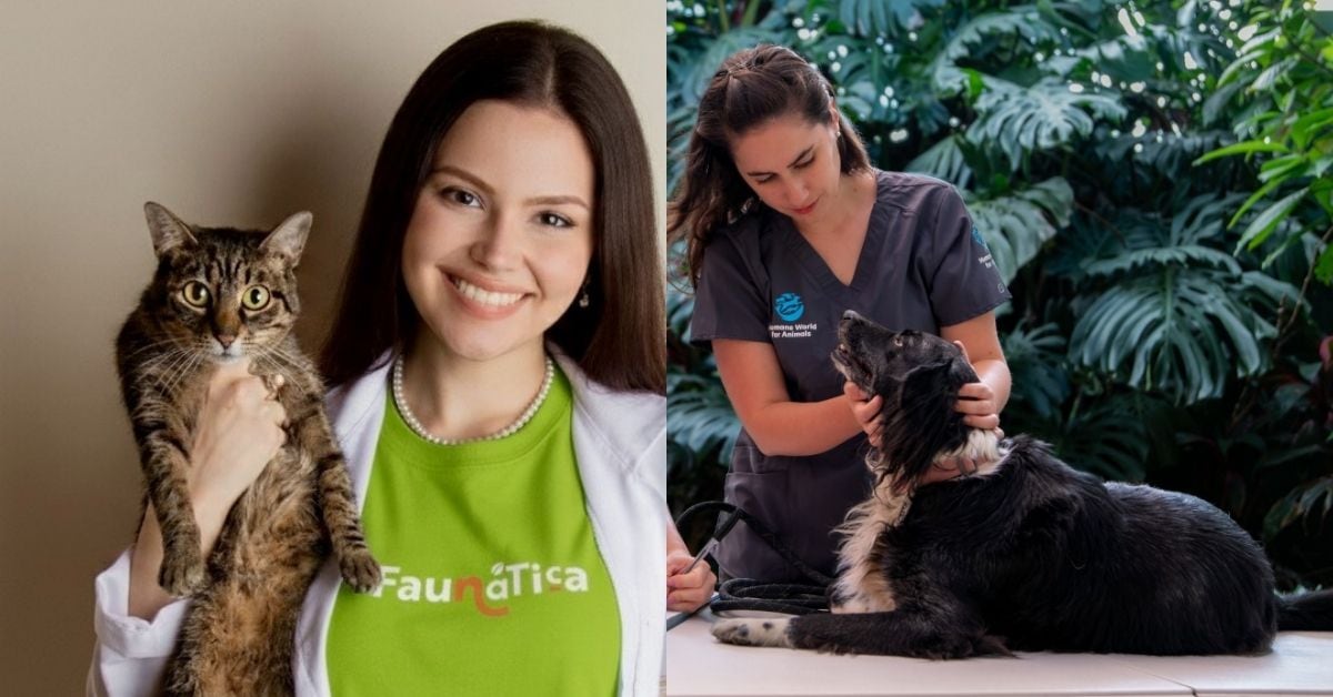 Especialistas veterinaria