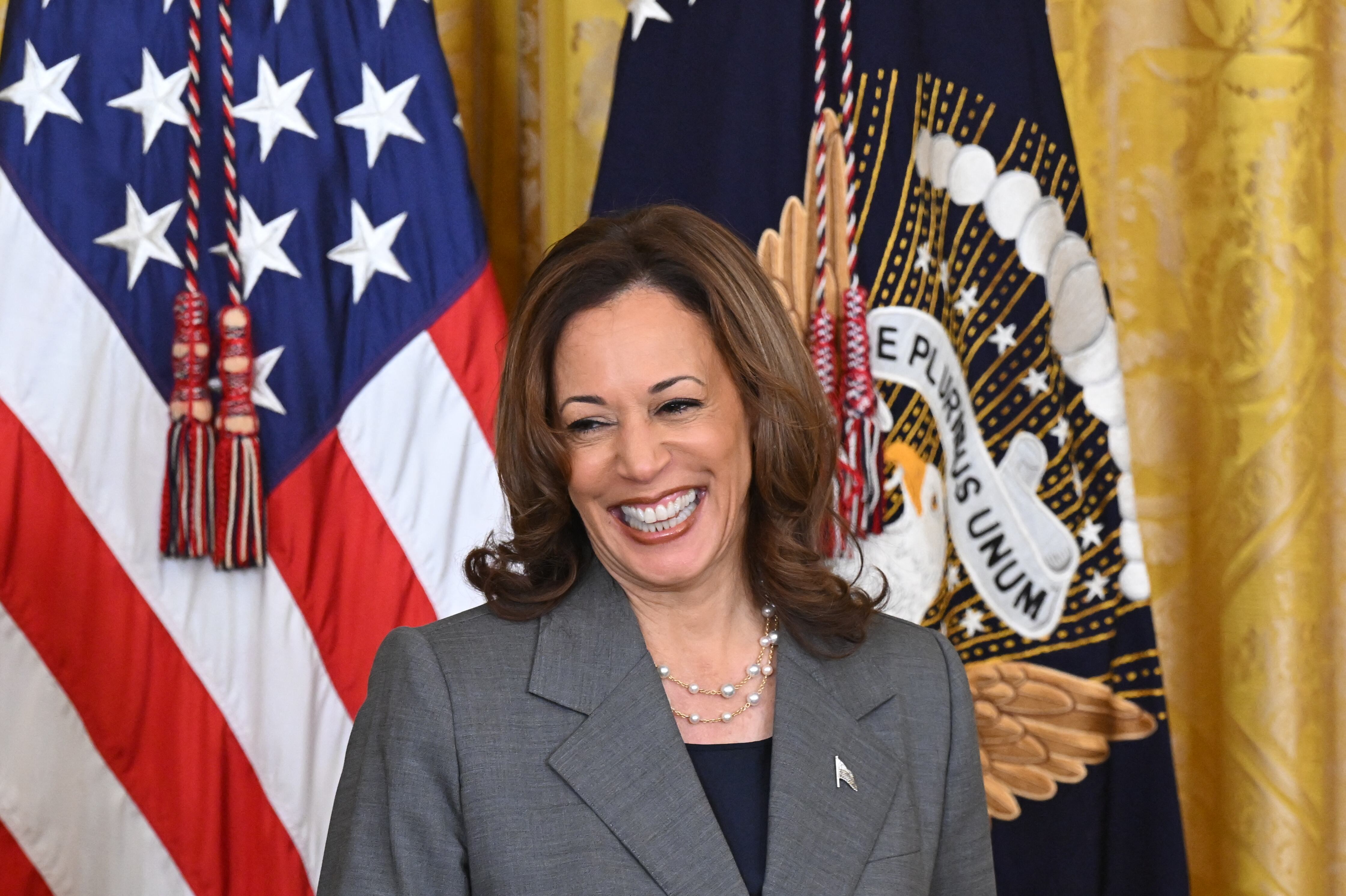 Kamala Harris, candidata a la presidencia de los Estados Unidos, por el partido Demócrata, es una figura carismática. Foto: SAUL LOEB / AFP
