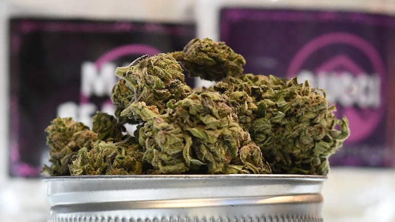 Tres candidatos presidenciales proponen legalizar la marihuana recreativa en Costa Rica: ¿es posible o solo un discurso electoral?