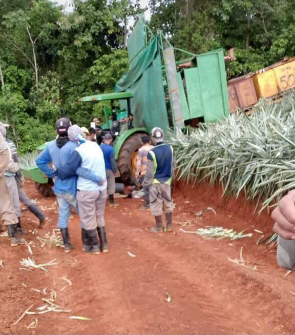 Trabajador fallece en accidente laboral en finca piñera de Cutris de San Carlos.