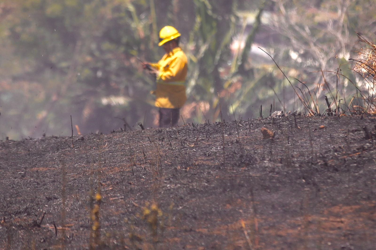 Incendio en Los Guidos