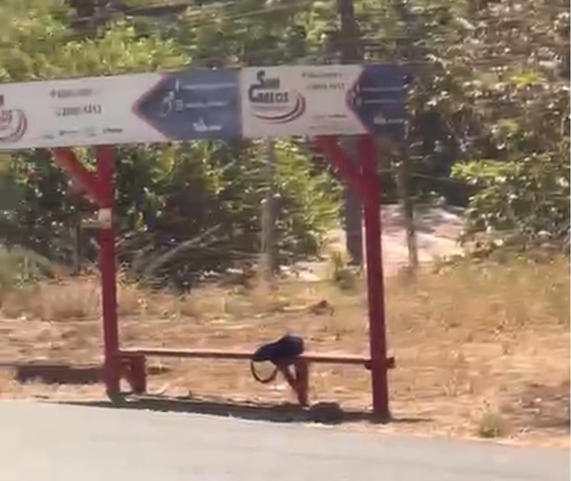 Un colegial habría asesinado a un compañero suyo a puñaladas.