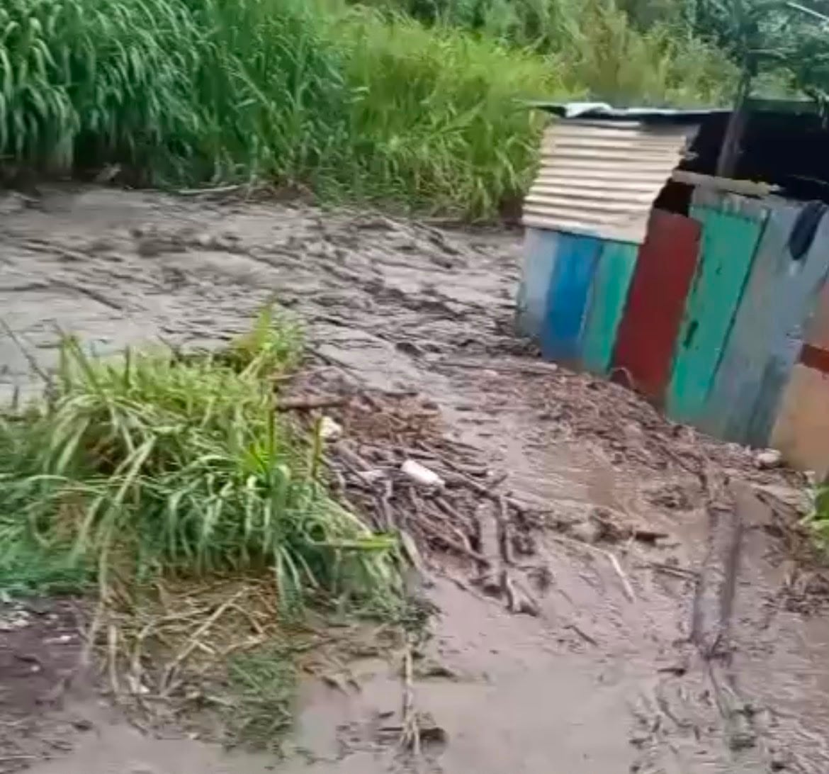 Río Reventado se creció debido a las lluvias. Afectó comunidades en Cartago.