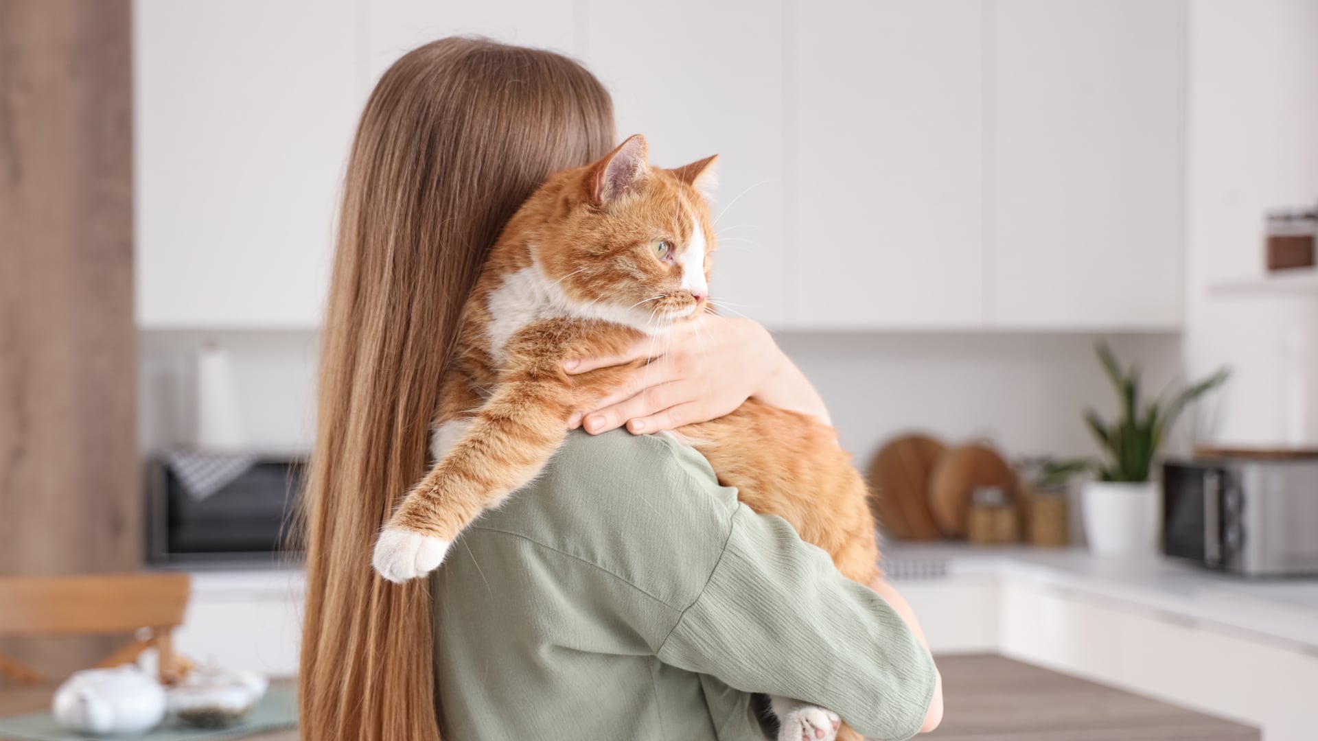 El descanso de los gatos sobre el pecho humano responde a factores biológicos, emocionales y de seguridad que fortalecen el vínculo con sus dueños.