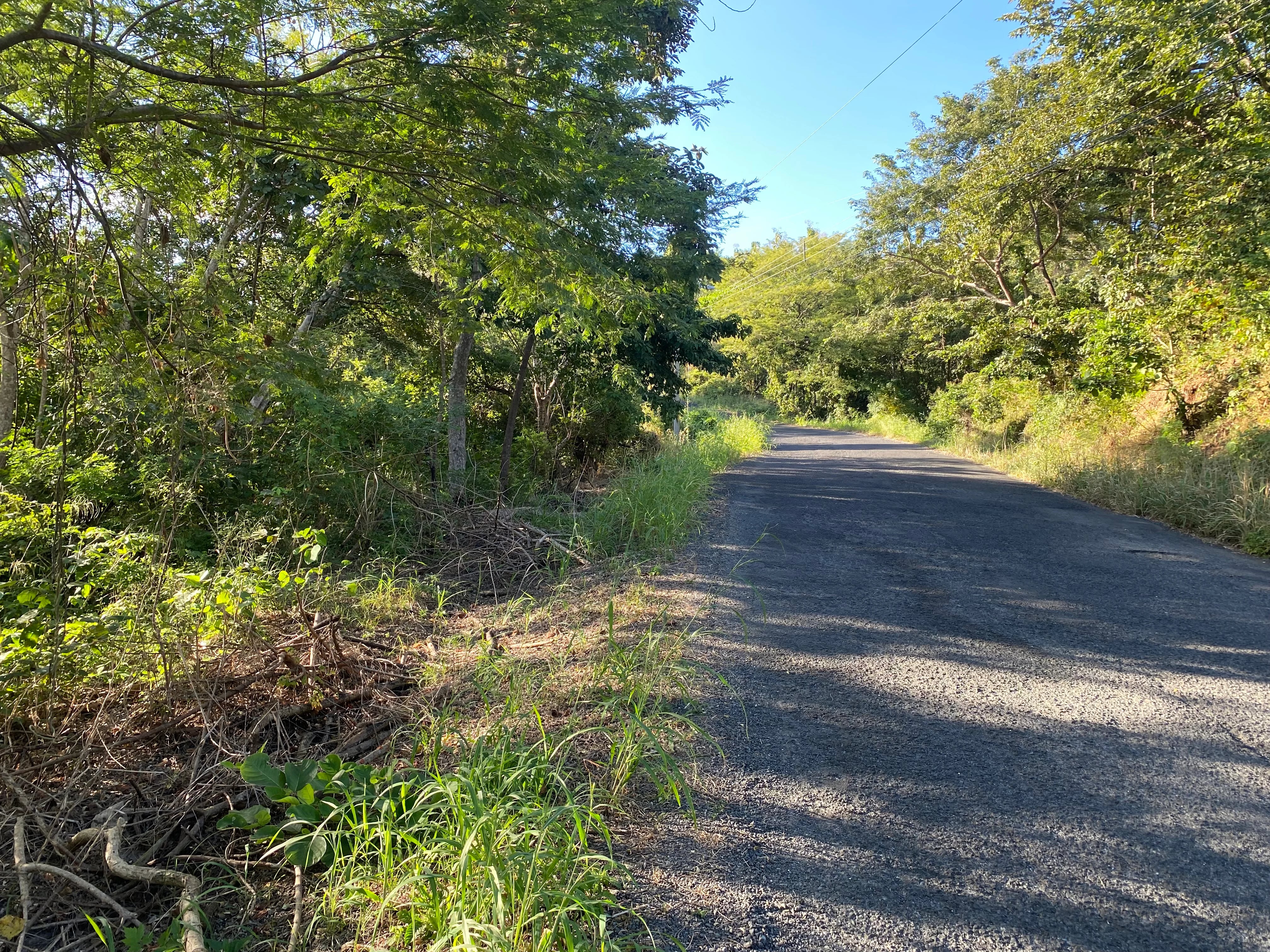 Terreno de 655 m² en Abangares cuesta ¢3.561.334 con 70% de rebaja. Es la propiedad más barata en venta directa del Banco Nacional.