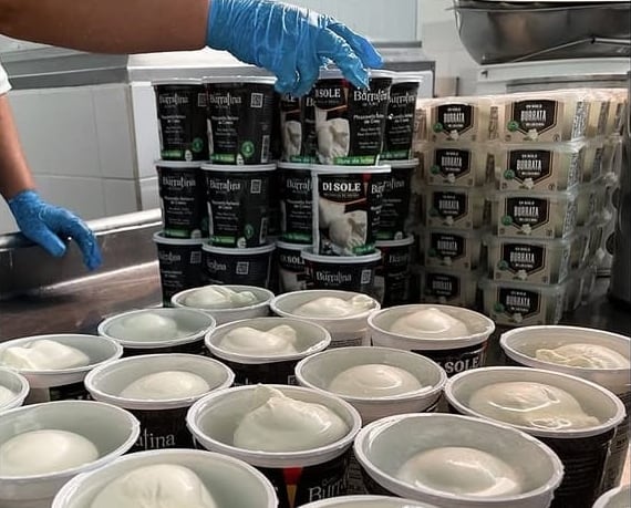 Empaque de queso mozzarella. Aparecen varios recipientas apilados y las manos de un hombre con guantes organizándolos.