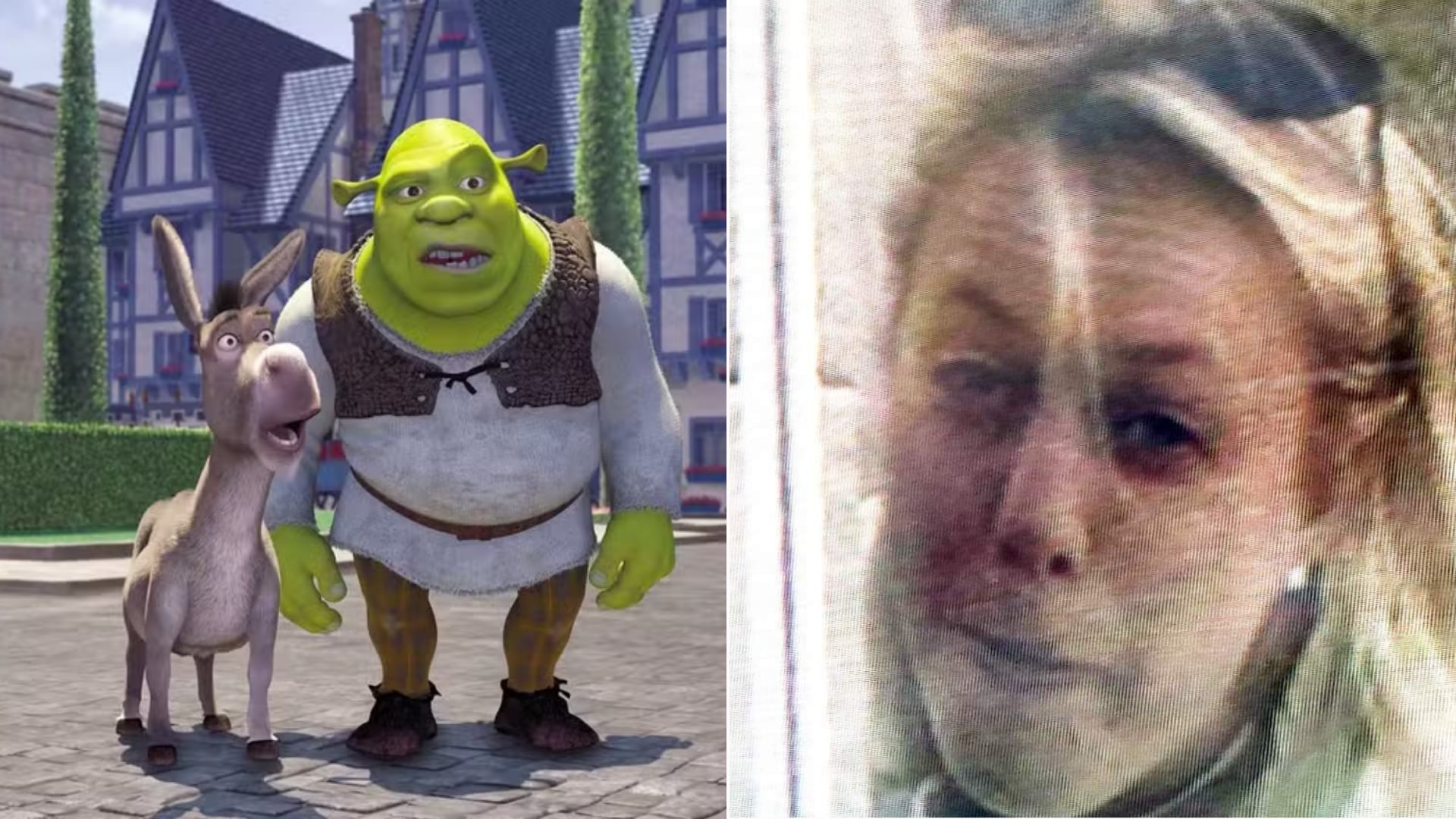 La mujer que aparece en una escena de ‘Shrek’ sigue sin ser identificada, a 24 años del estreno del primer filme.