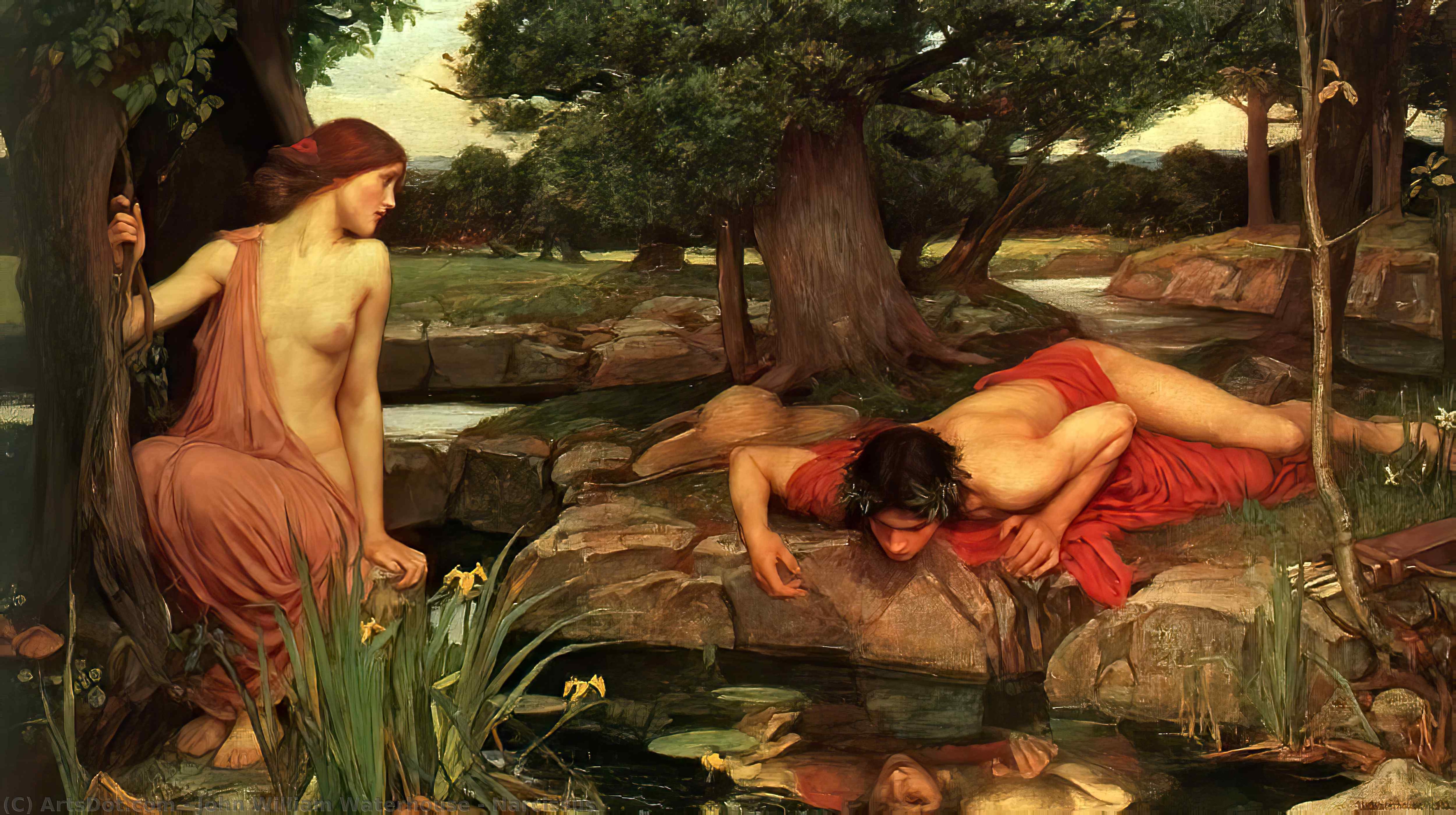 'Narcissus' (1903) de John William Waterhouse. Óleo sobre lienzo.